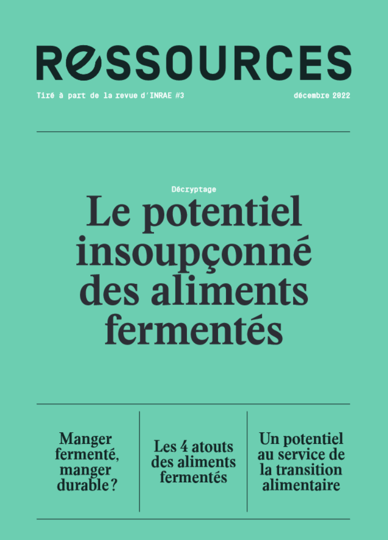 Lire la suite à propos de l’article Un cahier « Ressources » sur les Aliments Fermentés 🇫🇷