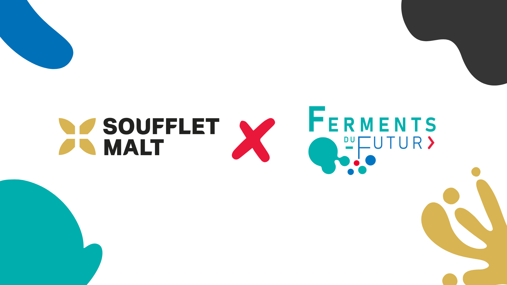 Lire la suite à propos de l’article [Communiqué de presse] Soufflet Malt x Ferments du Futur