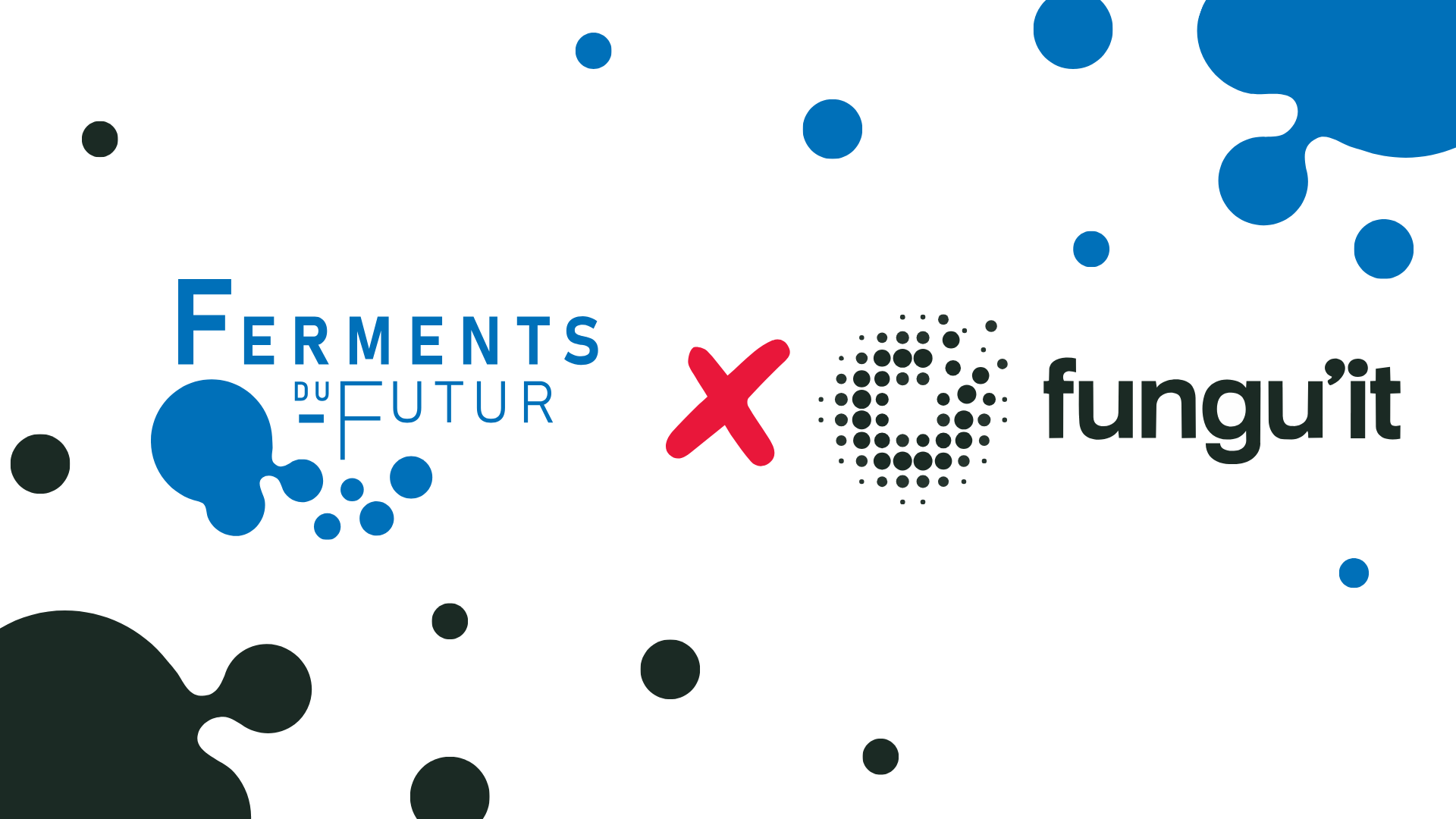Read more about the article [INTERVIEW] One year of hosting a start-up: Fungu’it