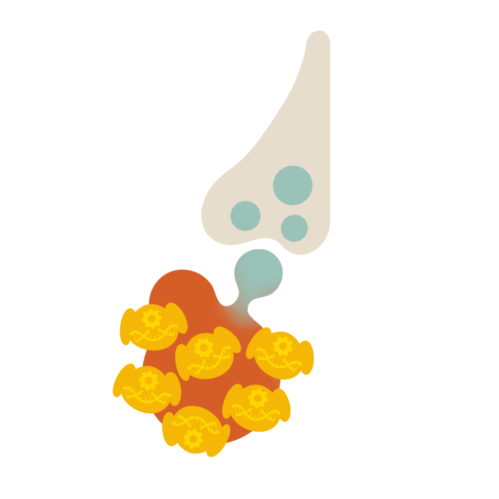 Illustratio projet Aurora